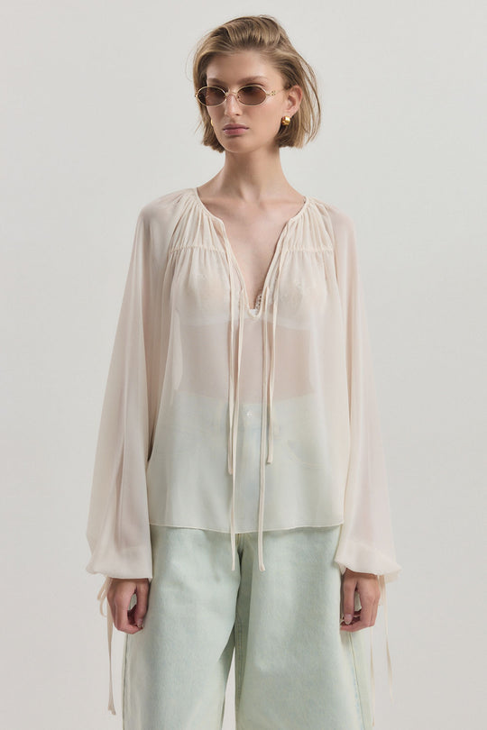 Deep V Semi Sheer Blouse