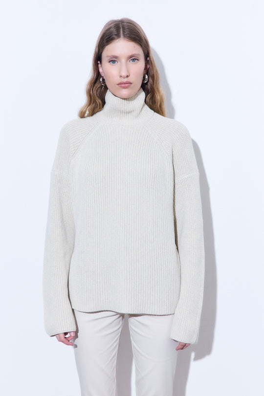 Ribbed Turtleneck Sweater