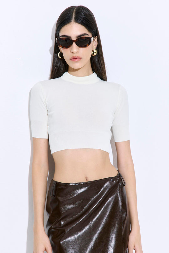 Semi Sheer Cropped Knit