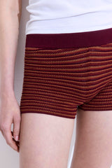 Crochet Mid Rise Shorts