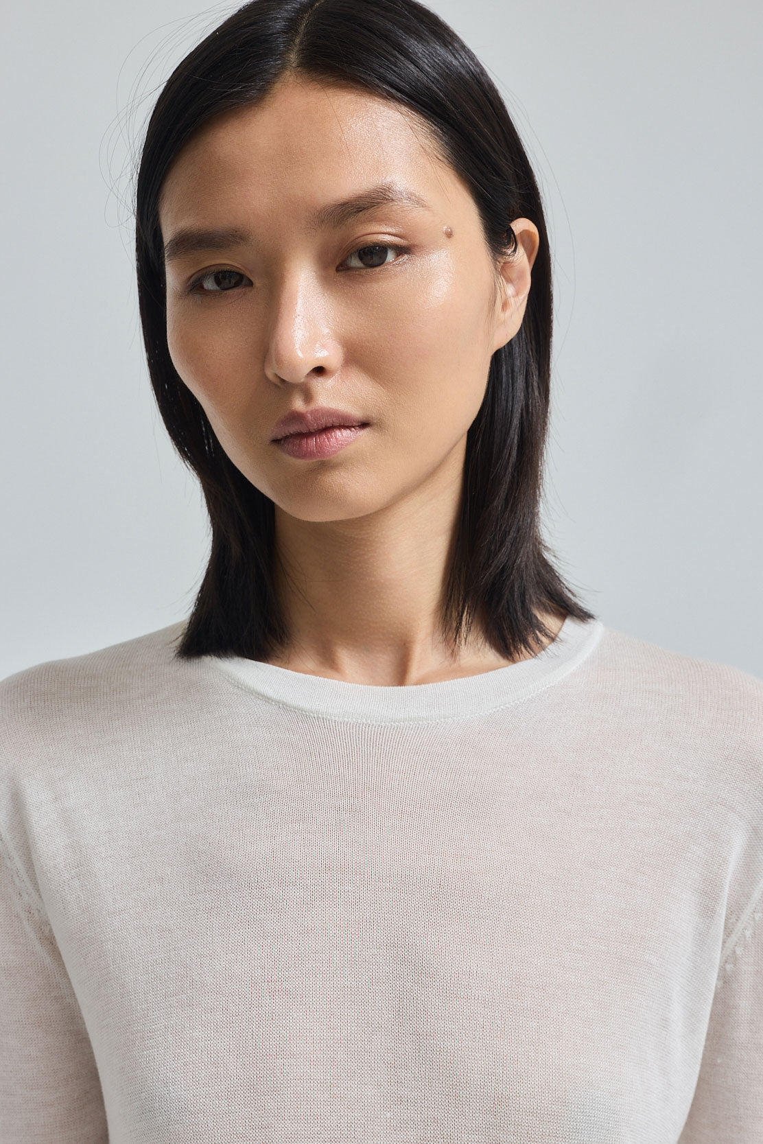 Semi Sheer Long Sleeve