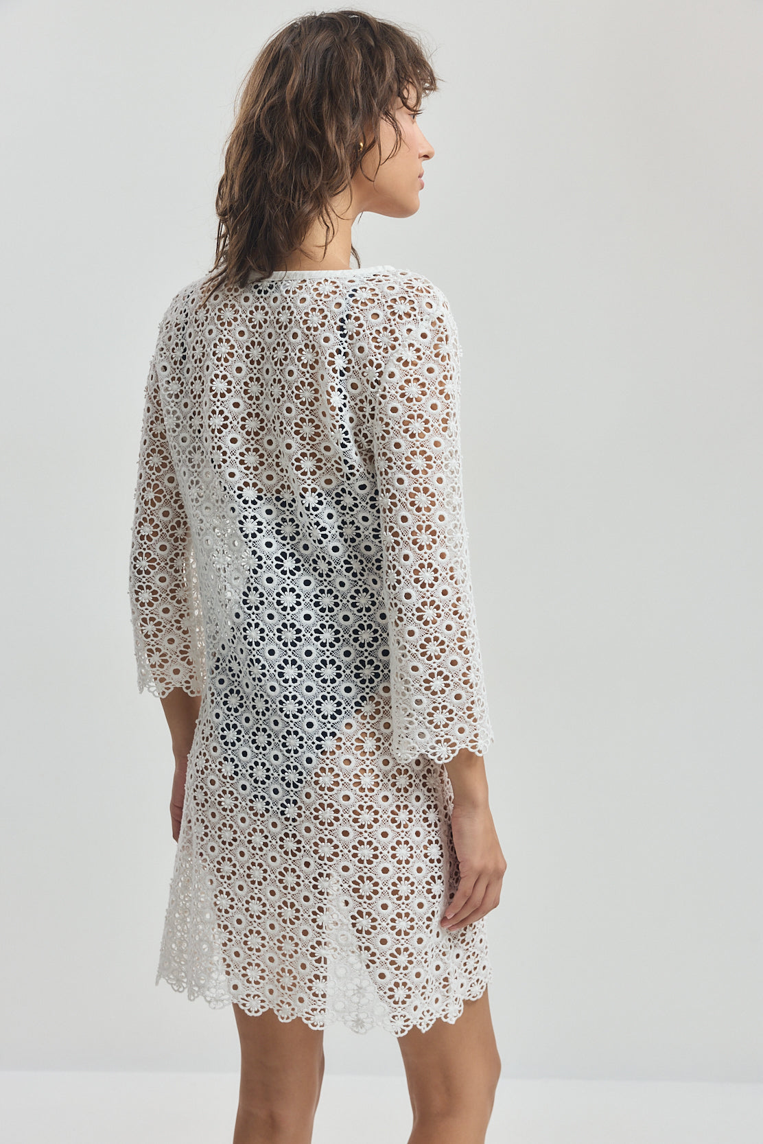 Semi Sheer Lace Mini Dress