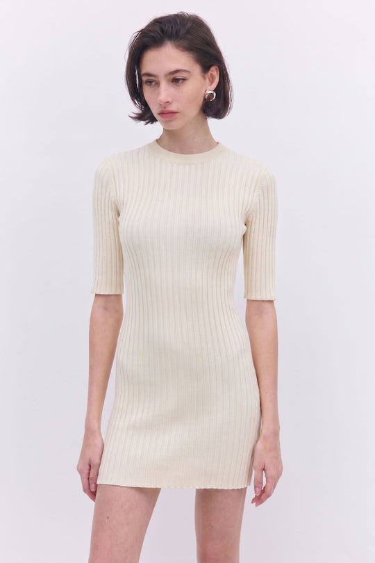 Ribbed Mini Dress