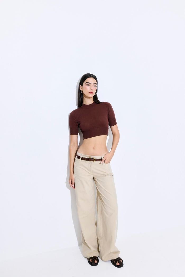 Semi Sheer Cropped Knit