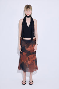 wild-poppy