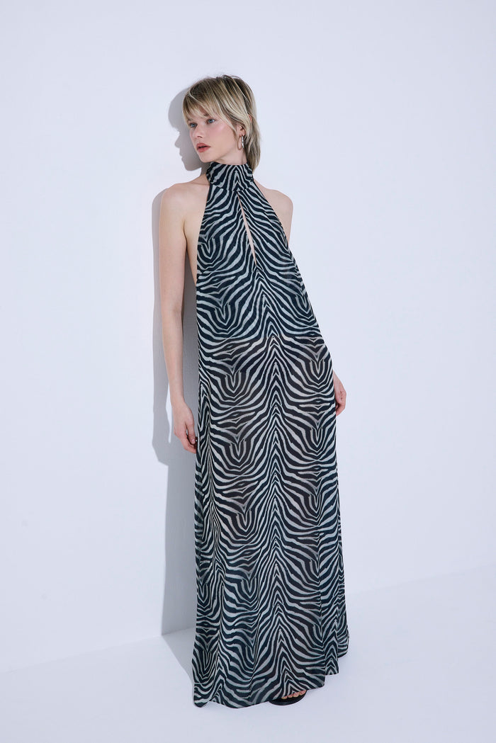 Semi Sheer Collar Maxi Dress