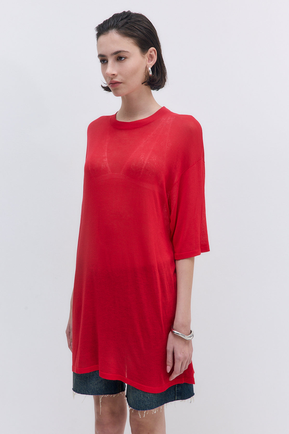 Semi Sheer Oversized Top