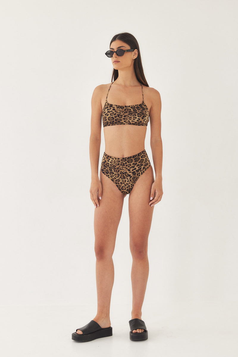 MODEL_1