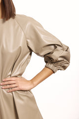 Vegan Leather Mini Dress