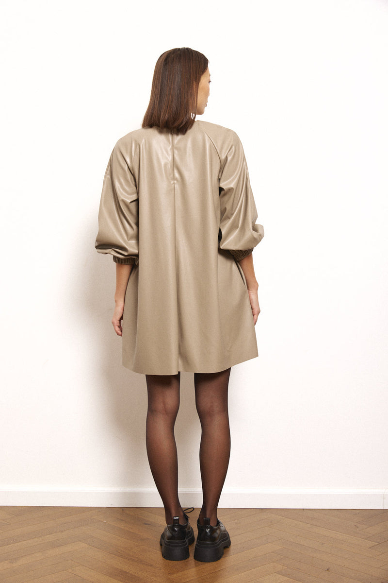 Vegan Leather Mini Dress